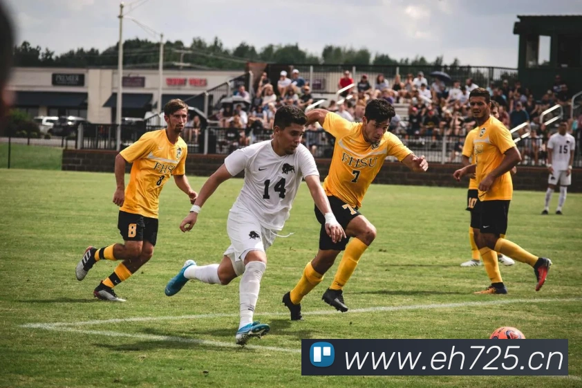 云顶集团官方入口APP 封面图